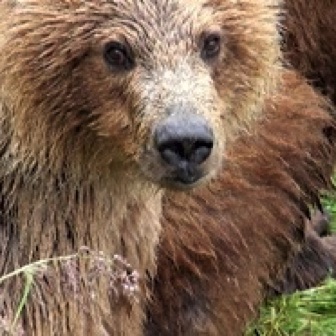 Screen Shot 2016-07-08 at 9.47.50 PM.jpg